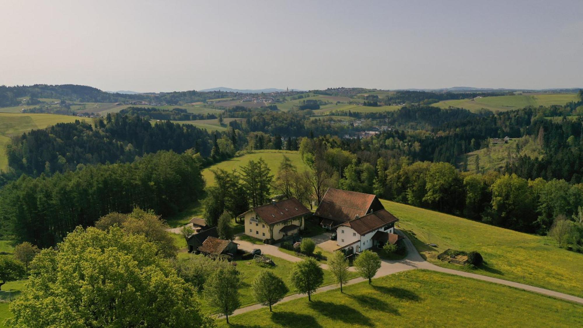 Apartment Gaestehaus Edhof Allmunzen